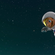 Image for article titled Professional Photographer Takes Super Mario Odyssey Shots With Intricate Detail